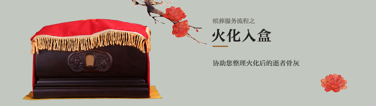 专业指导